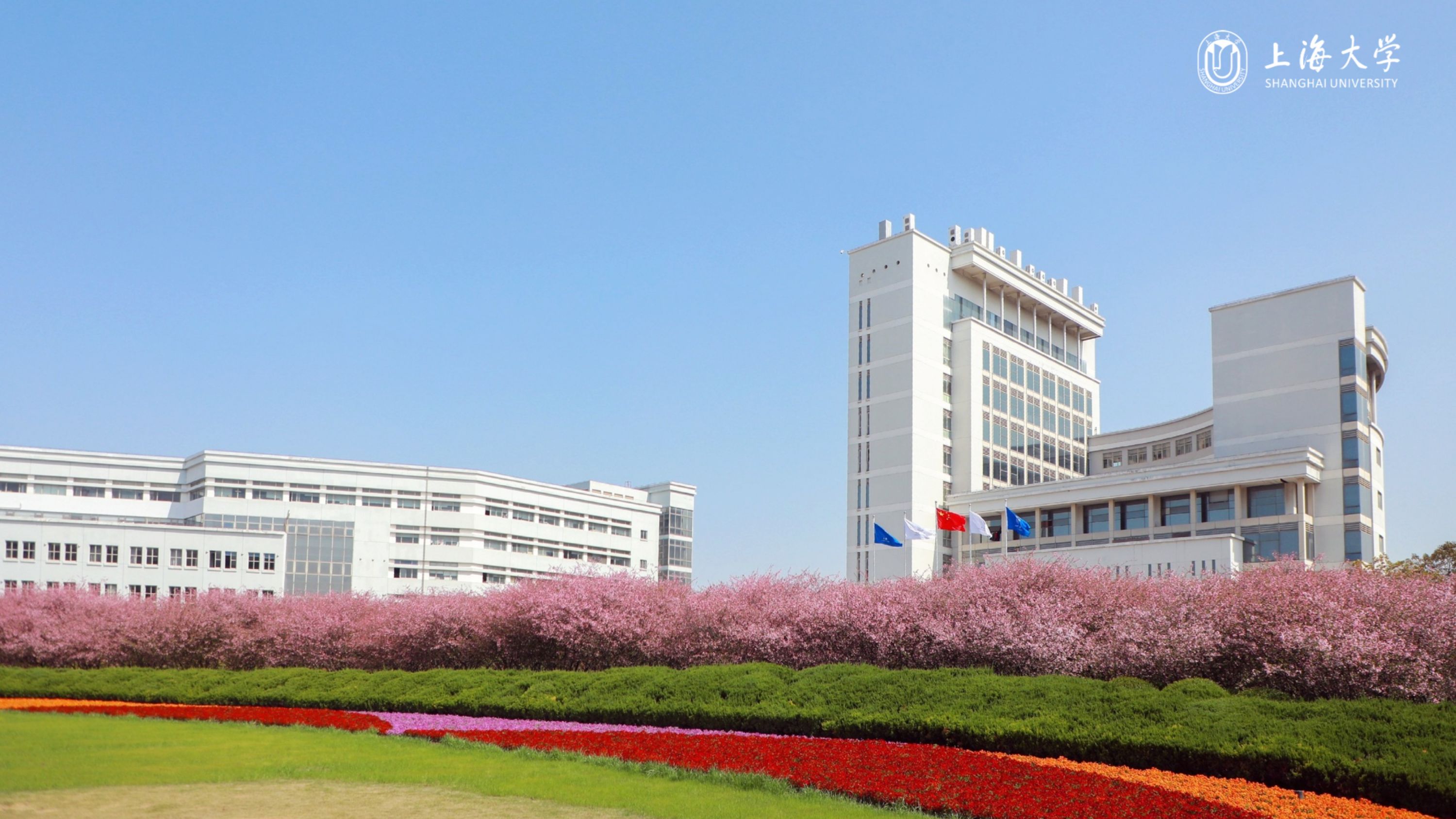 上海大学2026-2027学年-中国政府奖学金国别双边项目（CSC Type A）申请指南